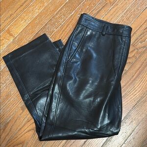 Aritzia Black Leather Pants